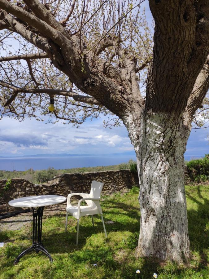 Appartamento Μαγεμένος Πύργος Στις Θαλάμες Koumani Esterno foto